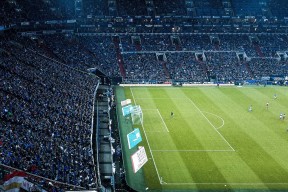 kaiyun体育app-新西兰橄榄球赛事票房收入持续攀升，商业化前景广阔，橄榄球 新西兰