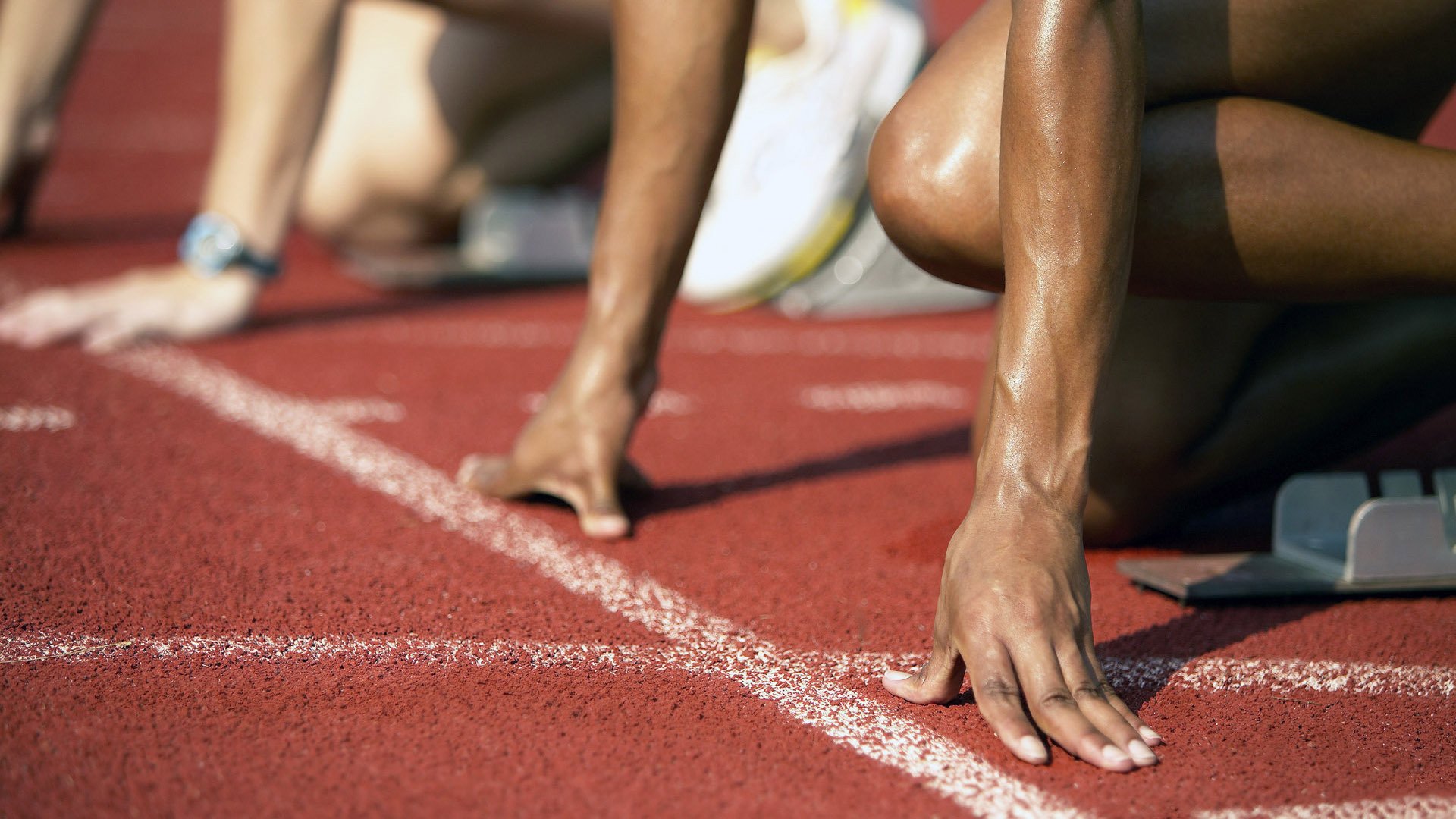 体育新闻中心赛季回顾关注,体育新闻赛事