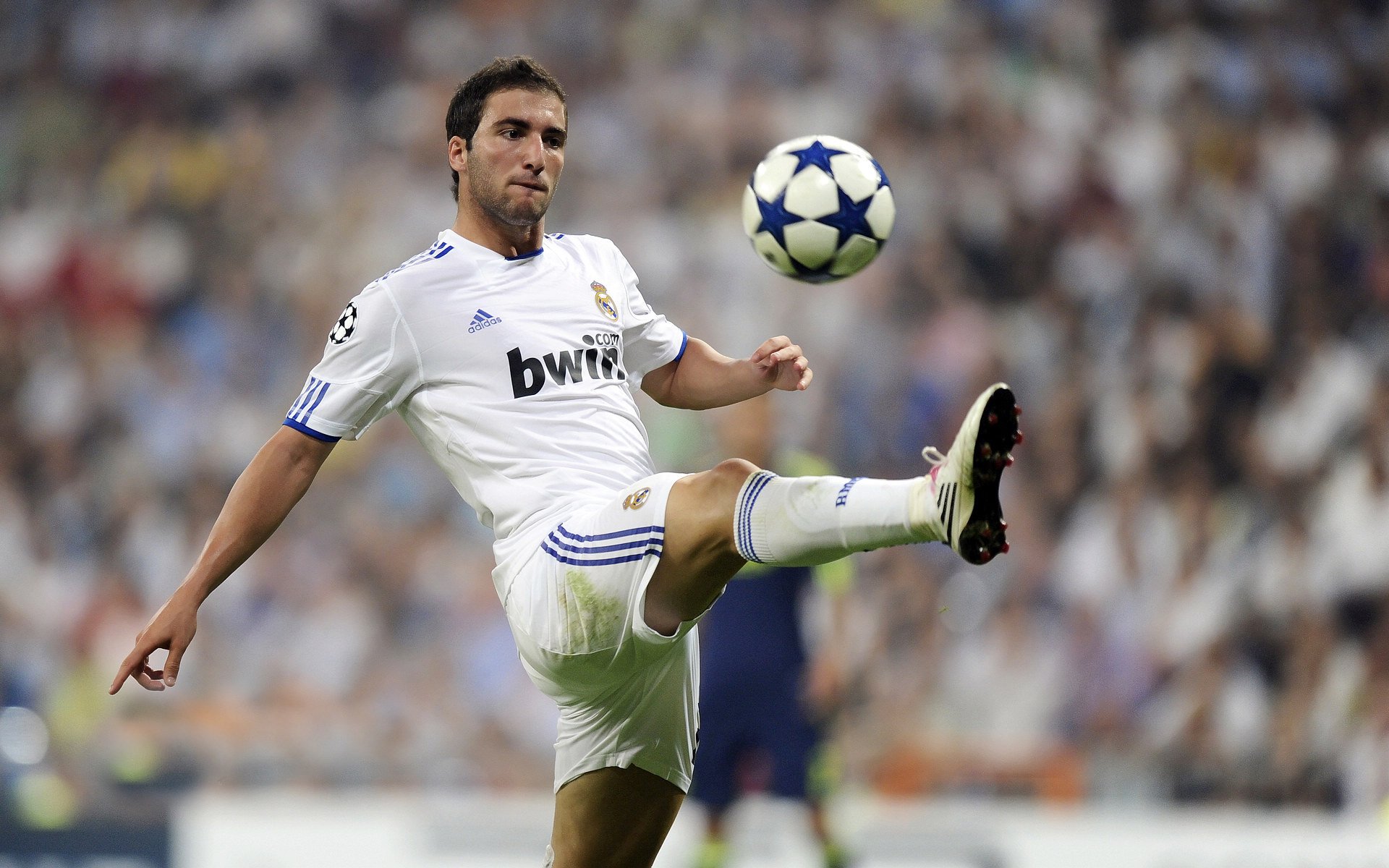 伊朗男足在巴黎奥运会上表现出色，晋级四强，伊朗男足进过几次世界杯